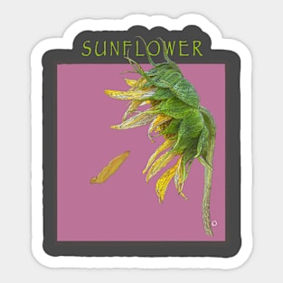 Sunflower (Rose) Sticker